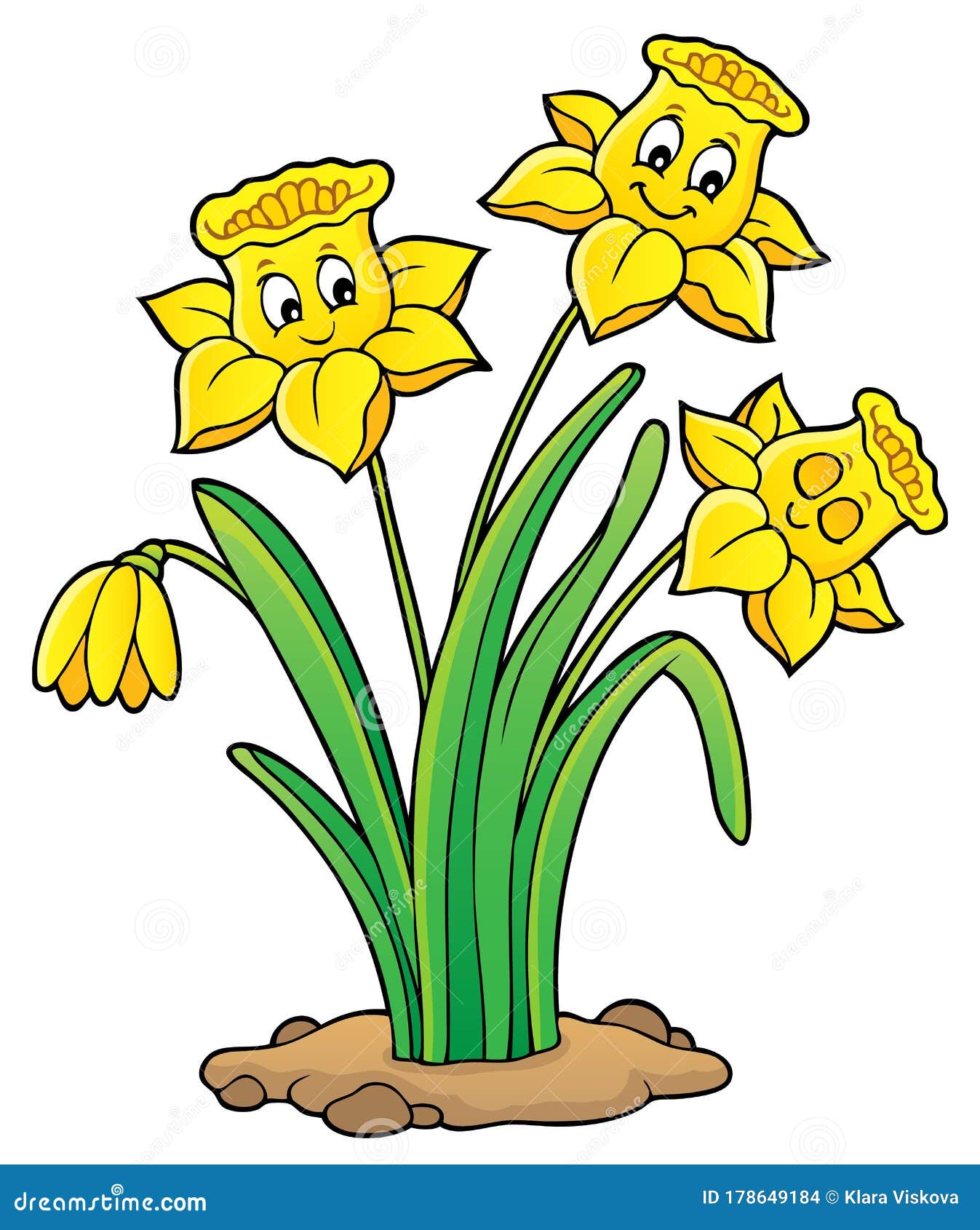 Download Narcissus Flower Theme Image 1 Stock Vector - Illustration ...