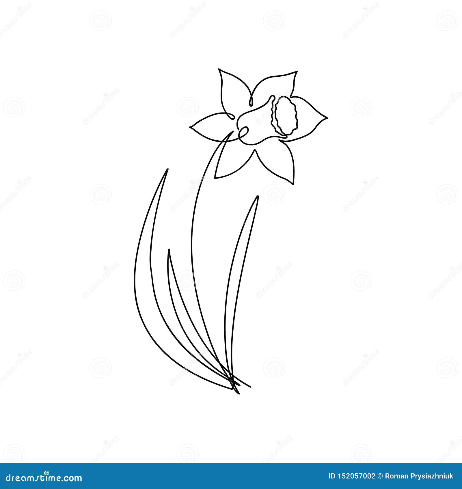 Featured image of post Daffodil Line Drawing Create a pretty spring drawing with this how to draw a daffodil tutorial