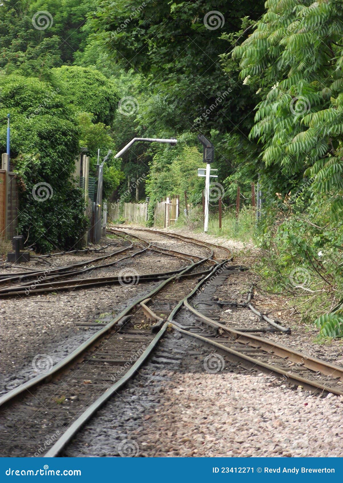 Narrow Gauge Railway Tracks Stock Image Image of crossings, rail