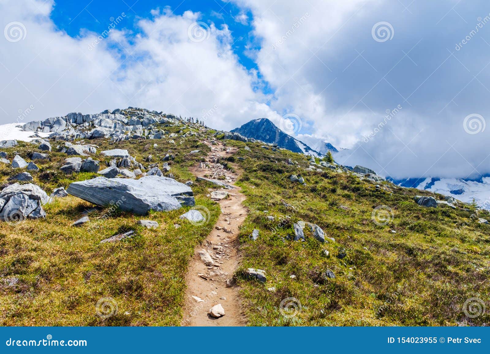  Hiking Trail in Alpine Nature Stock Image - Image of hike .