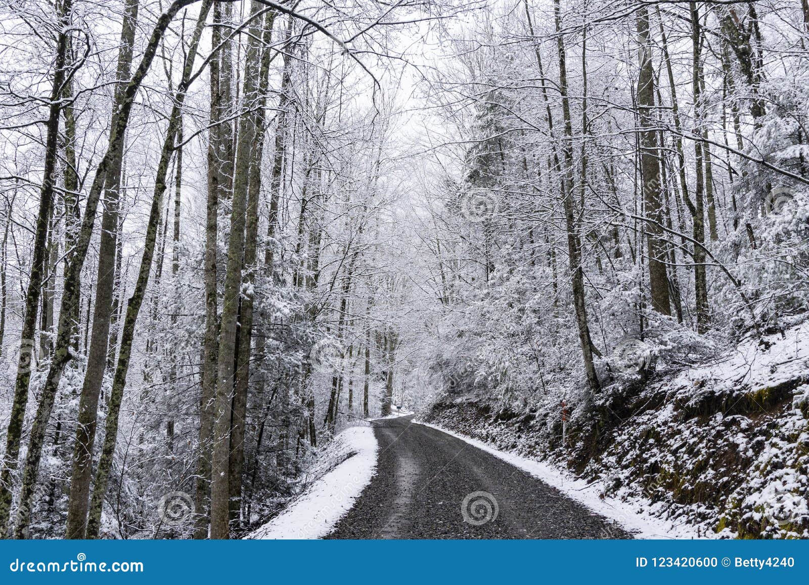 a narrow mountain road in tennessee is covered with snow.