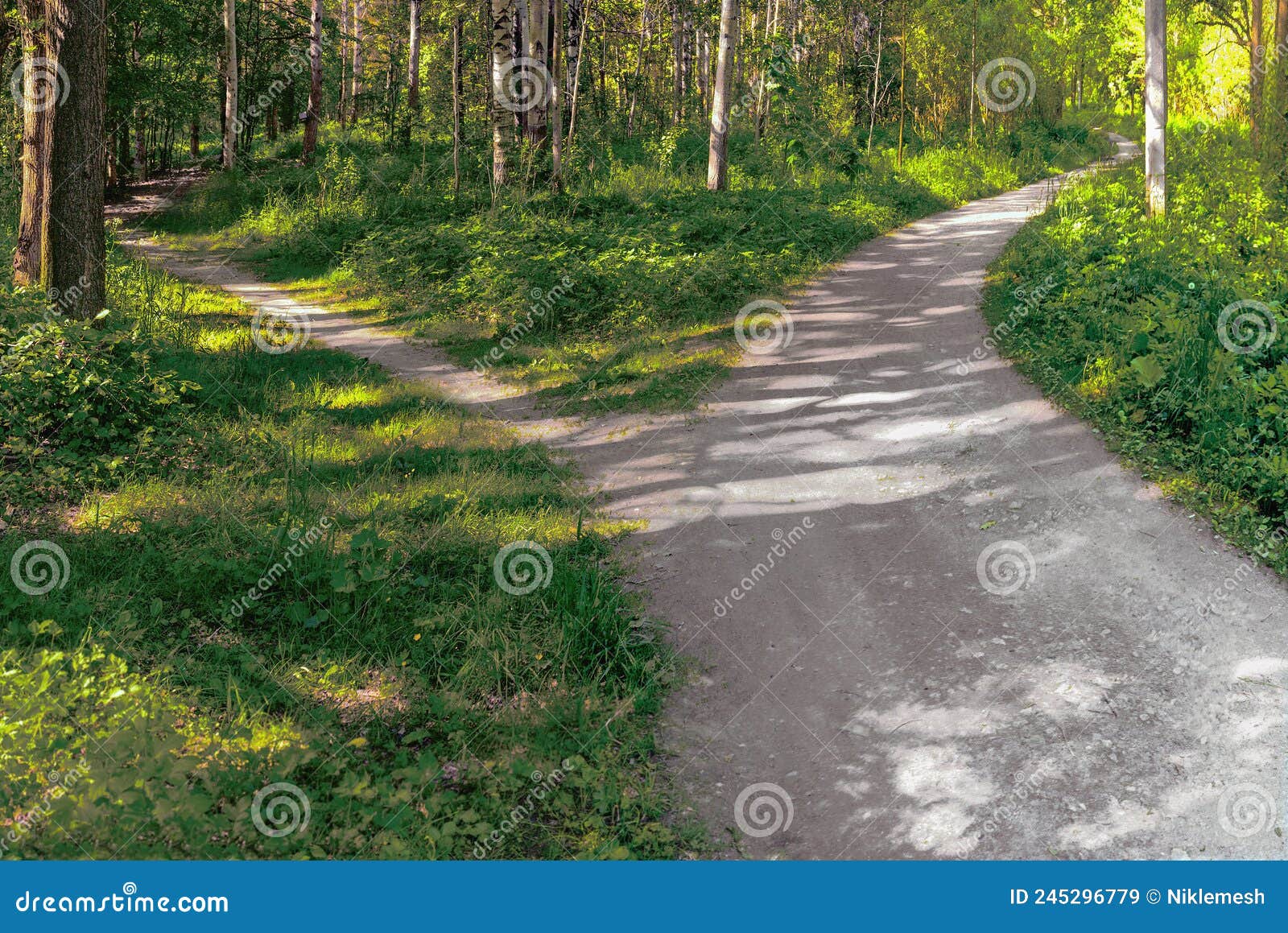 A Narrow Path Branches Off from a Wide Path in the Park and Leads the A Narrow Path Branches Off from a Wide Path in the Park and Leads the