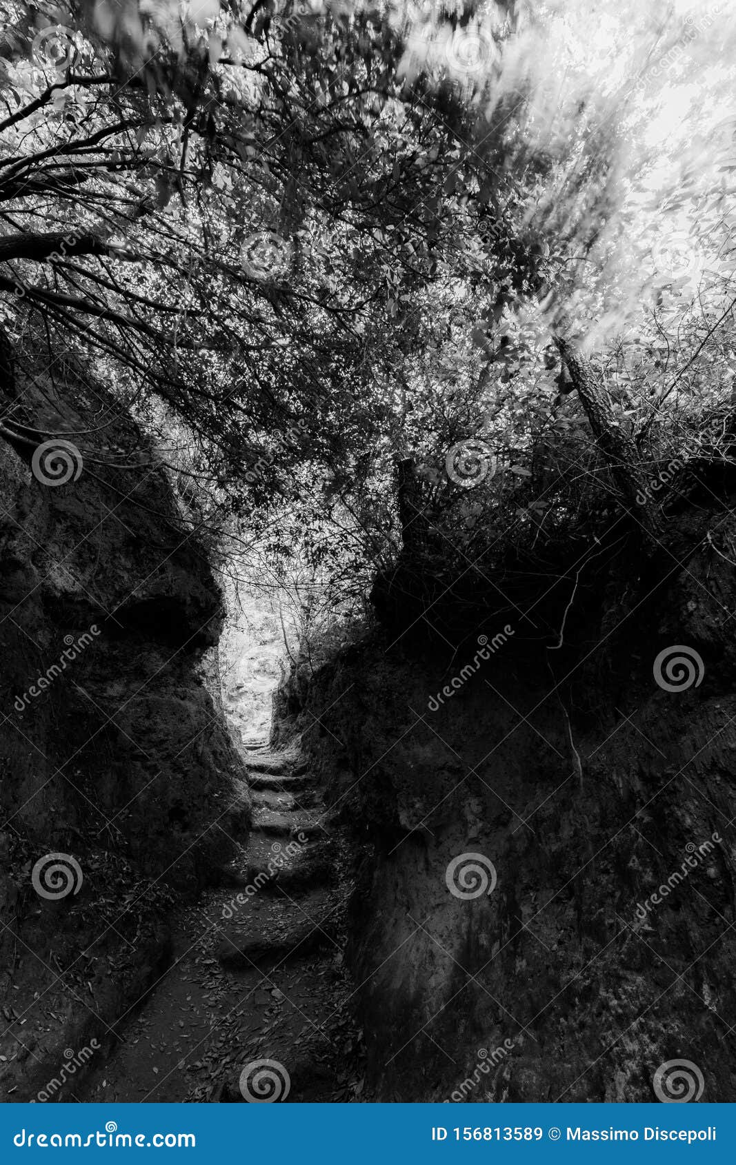 Narrow Path between Rocks and Trees in Pale Umbria, Italy Stock Image