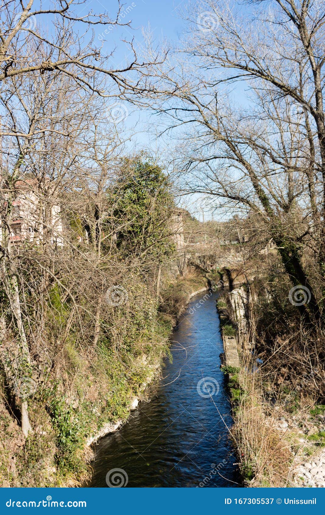 Narrow Water Passage between Trees in the Woods Stock Image Image of