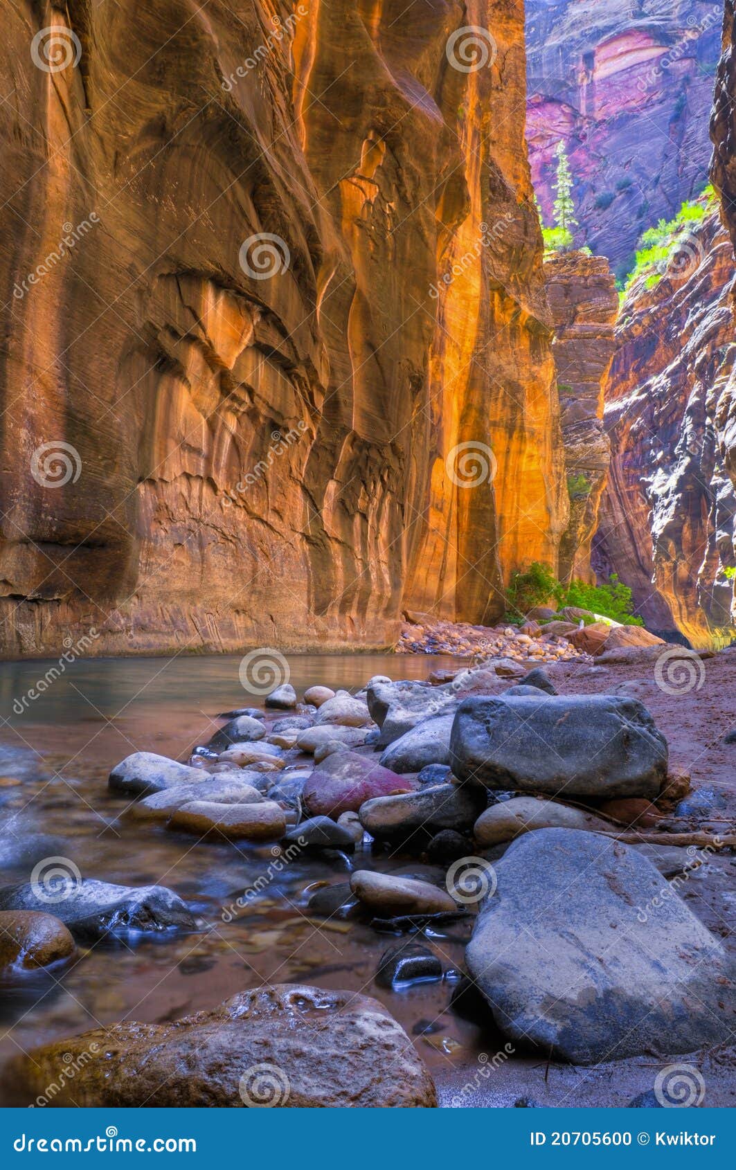 The Narrows stock photo. Image of backpack, utah, stone 20705600