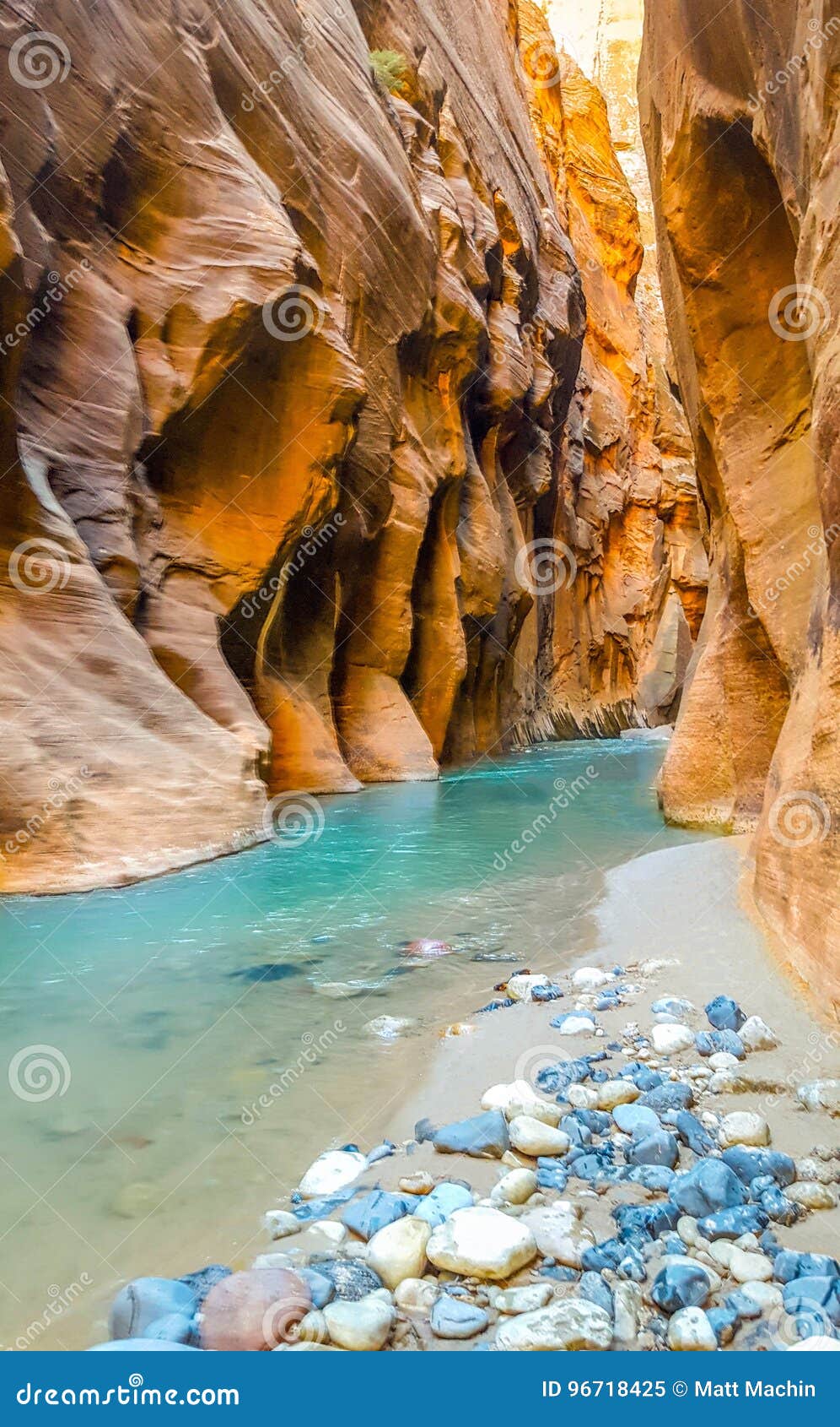 the narrows, zion national park