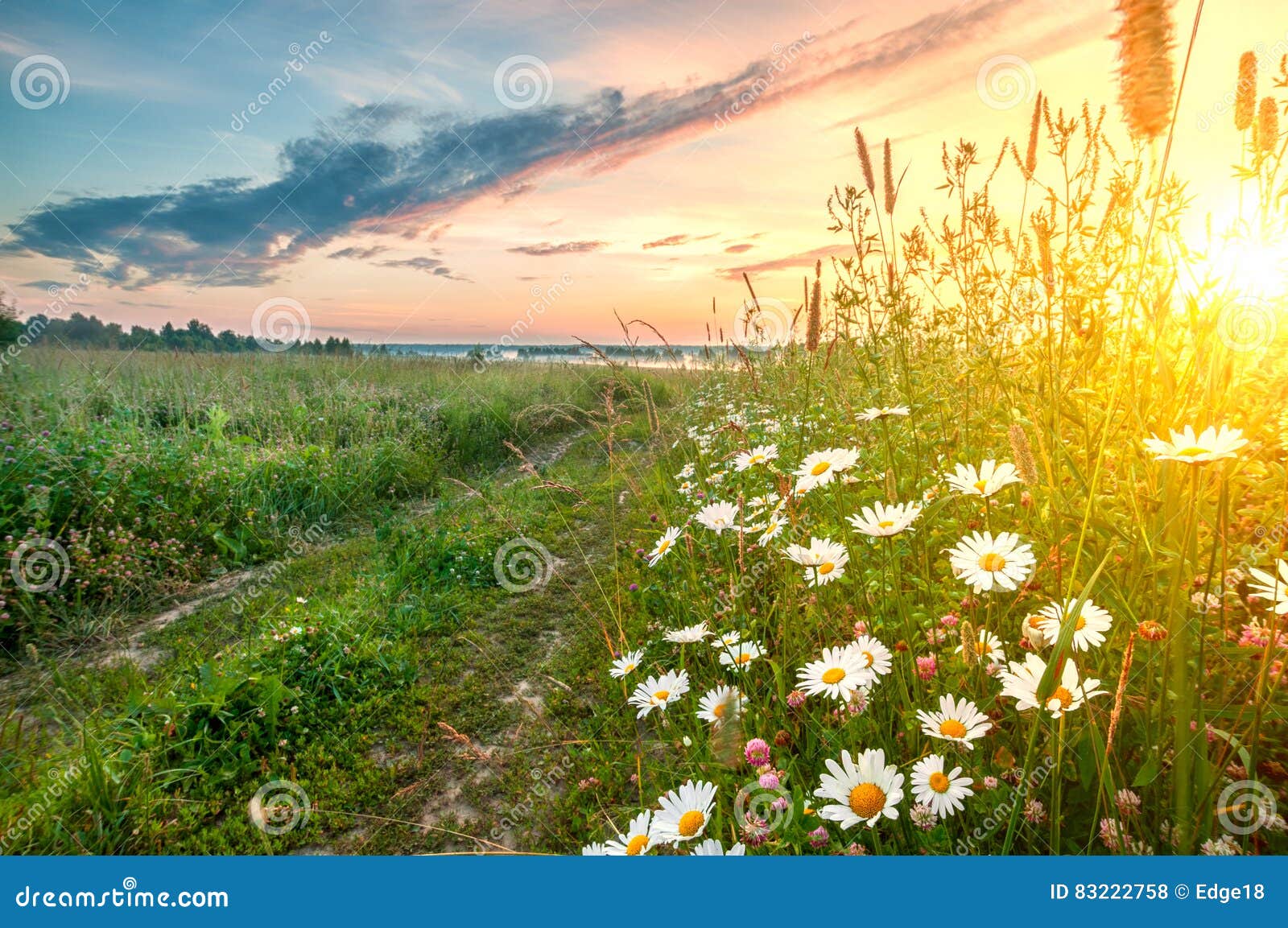 Featured image of post Imagens De Amanhecer No Campo / Cambia las dimensiones y el tamaño de archivo de una imagen con la herramienta img2go.