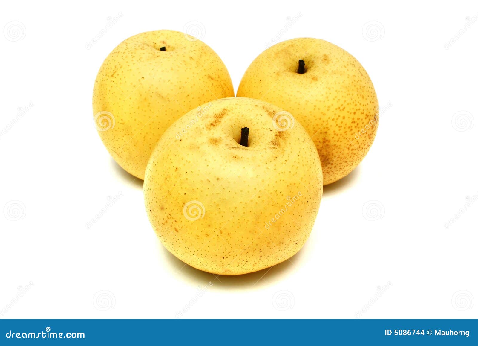 Three nashi pear isolated on white background.