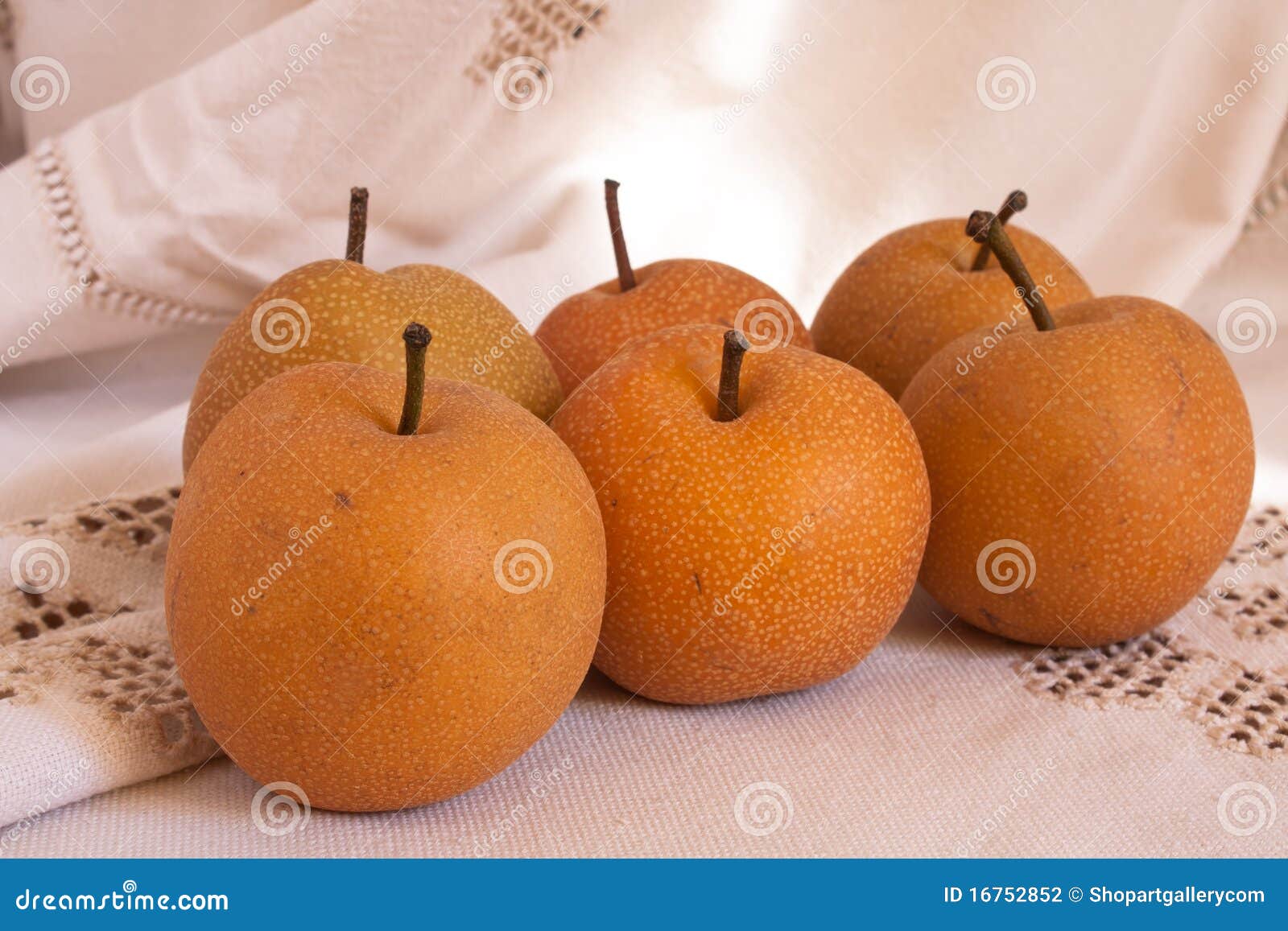Nashi Pears stock photo. Image of pear, food, sweet, vegetarian 16752852