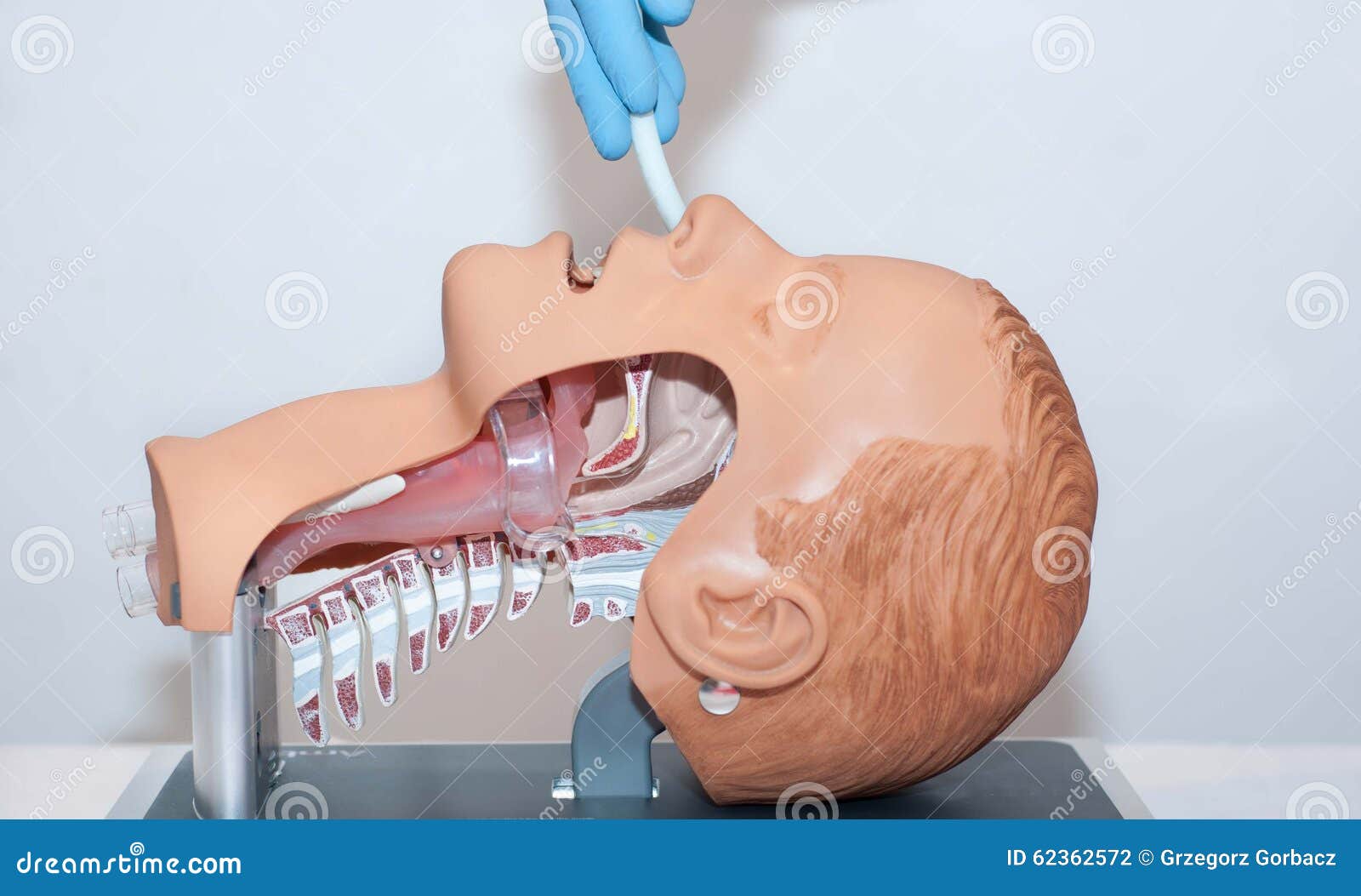 naso-pharyngeal tube used to open the airway used to open the airway