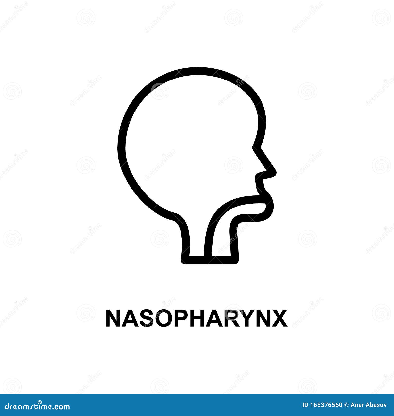 nasopharynx simple line icon