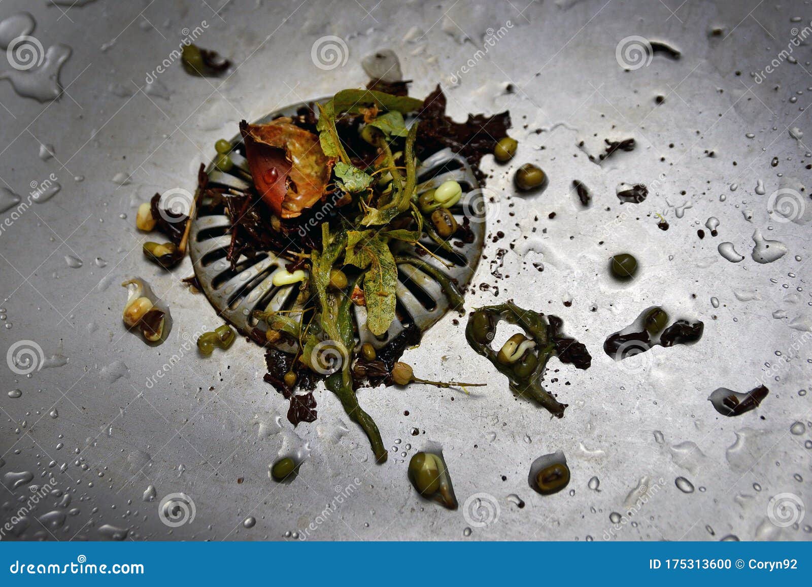 Nasty Clogged Strainer In Stainless Sink Rotten Wet Vegetables In Waste Bad Kitchen Hygiene Wet Stock Photo Image Of Peel Compost