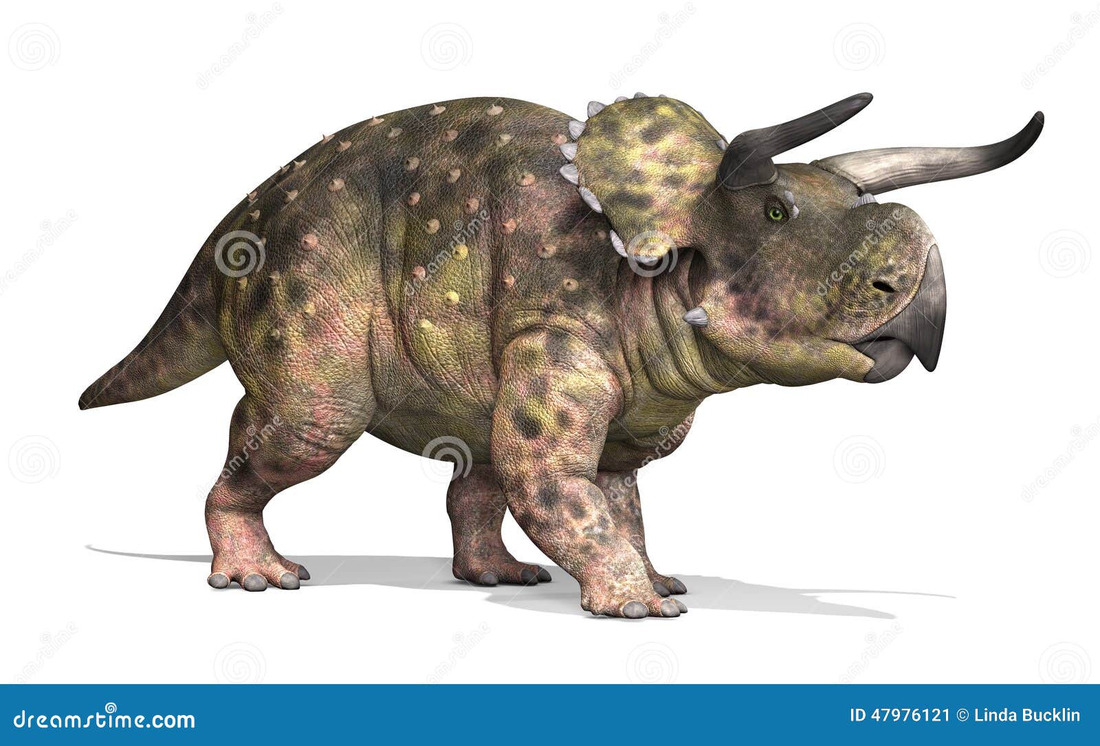 Nasutoceratops Dinosaur Stock Illustrations – 29 Nasutoceratops