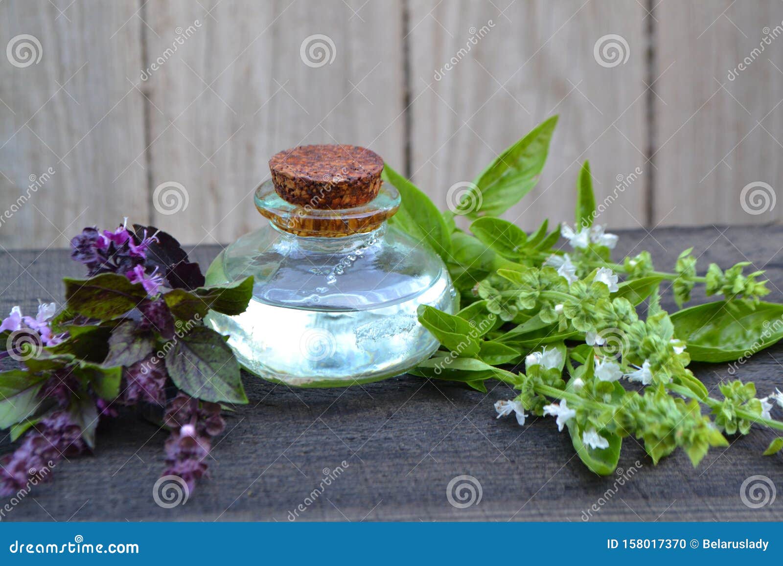 Natürliches ätherisches Öl Von Lila Und Grüner Basilikum in Flaschen Auf  Rustikalem Tisch Duftaromatherapie Grünkraut Stockfoto - Bild von blume,  aromatherapie: 158017370