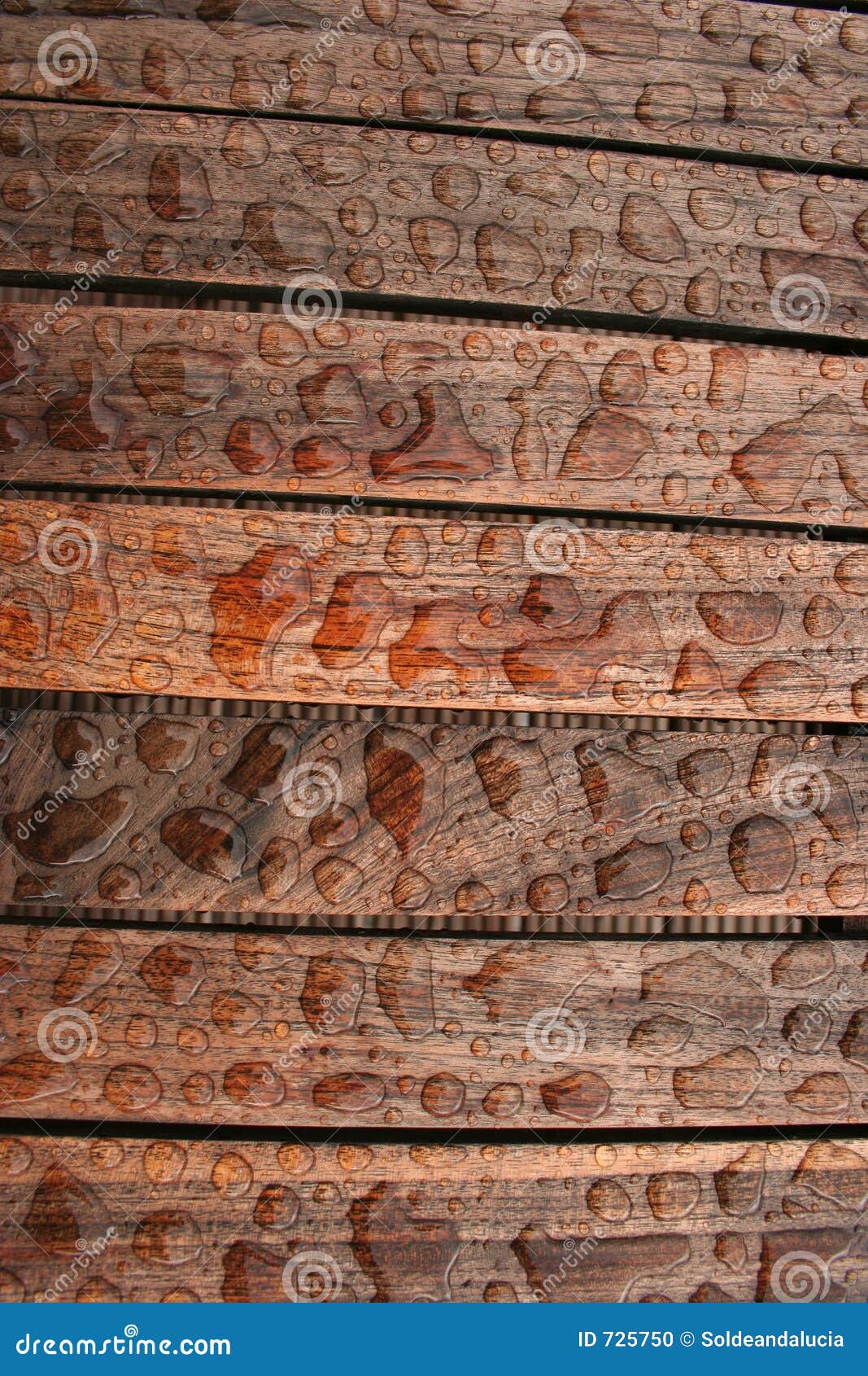 Monetair Geavanceerd eiland Nat hout stock foto. Image of regendruppels, tekens, teakhout - 725750