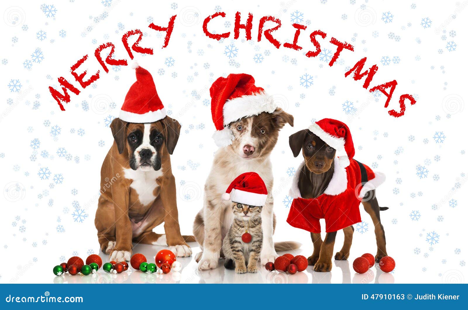 Immagini Cani Natale.Natale Gatto E Cani Immagine Stock Immagine Di Collage 47910163