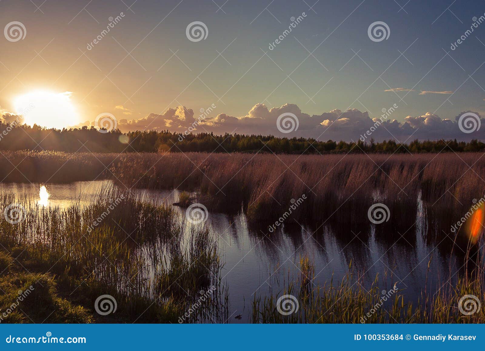 Nationaal Park, Reserve. Het nationale Park wordt gevestigd op het grondgebied van moeras, dat rechtstreeks naar de Golf van Riga gaat Op het grondgebied van het Nationale Parkleven een groot aantal van het waden van vogels