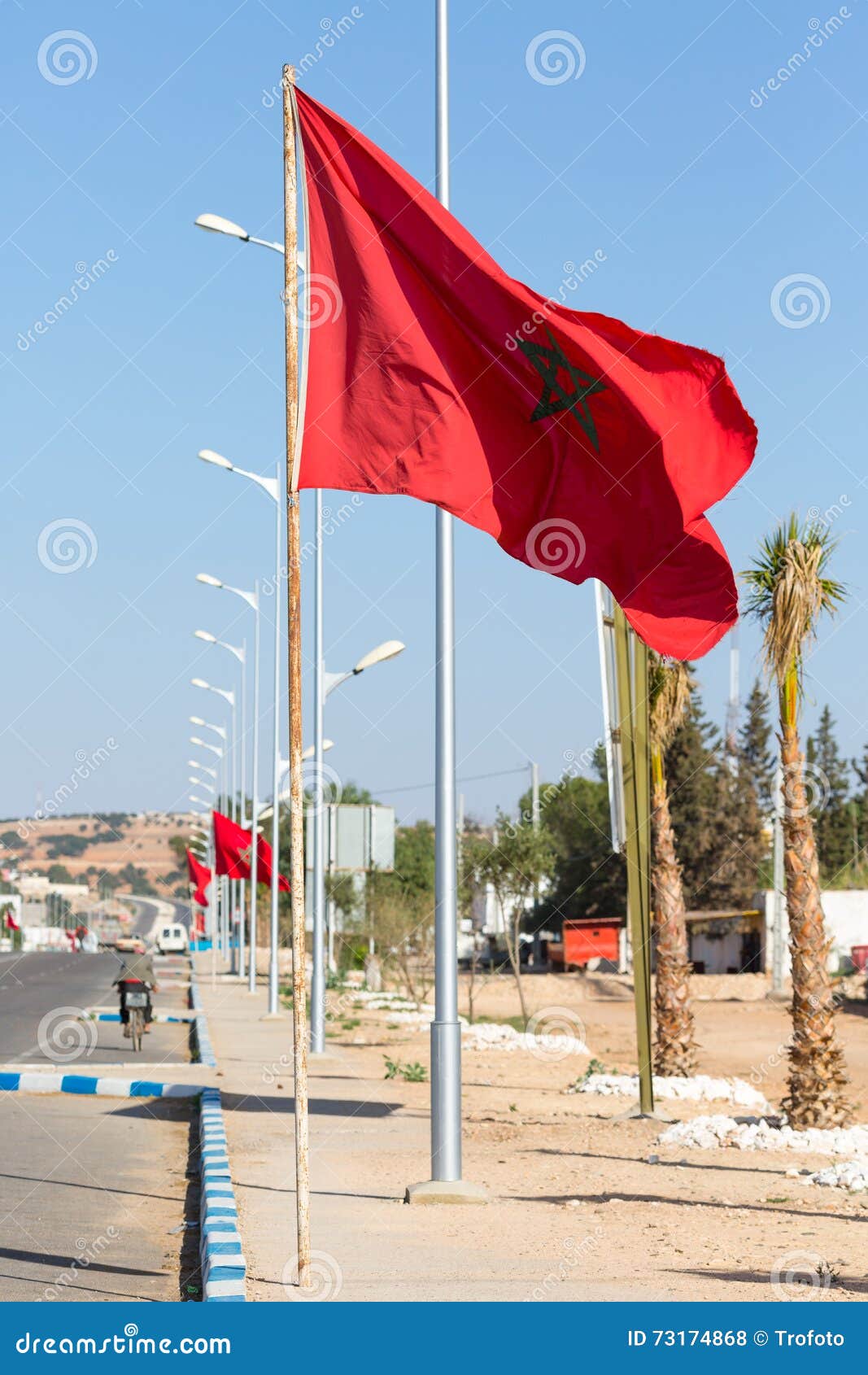 national flag of morocco