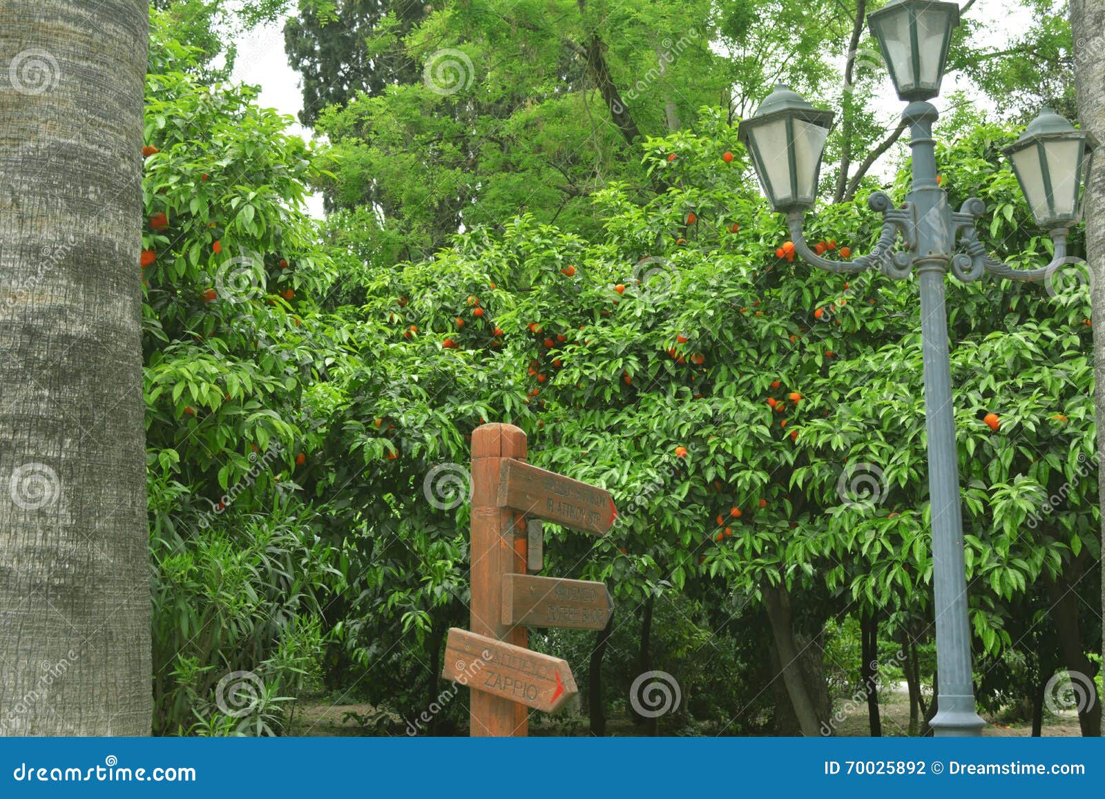 National Gardens Of Athens Greece Stock Photo Image Of Gardens