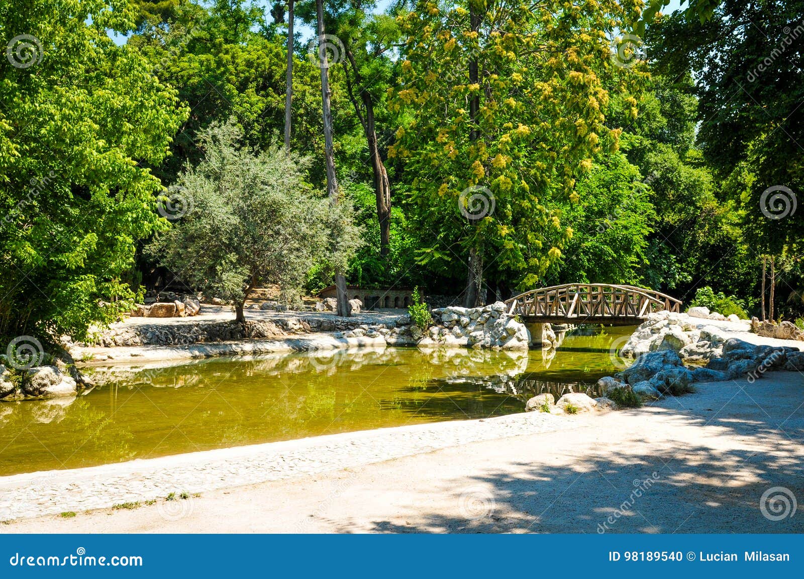 National Gardens In Athens Greece Stock Photo Image Of Greek