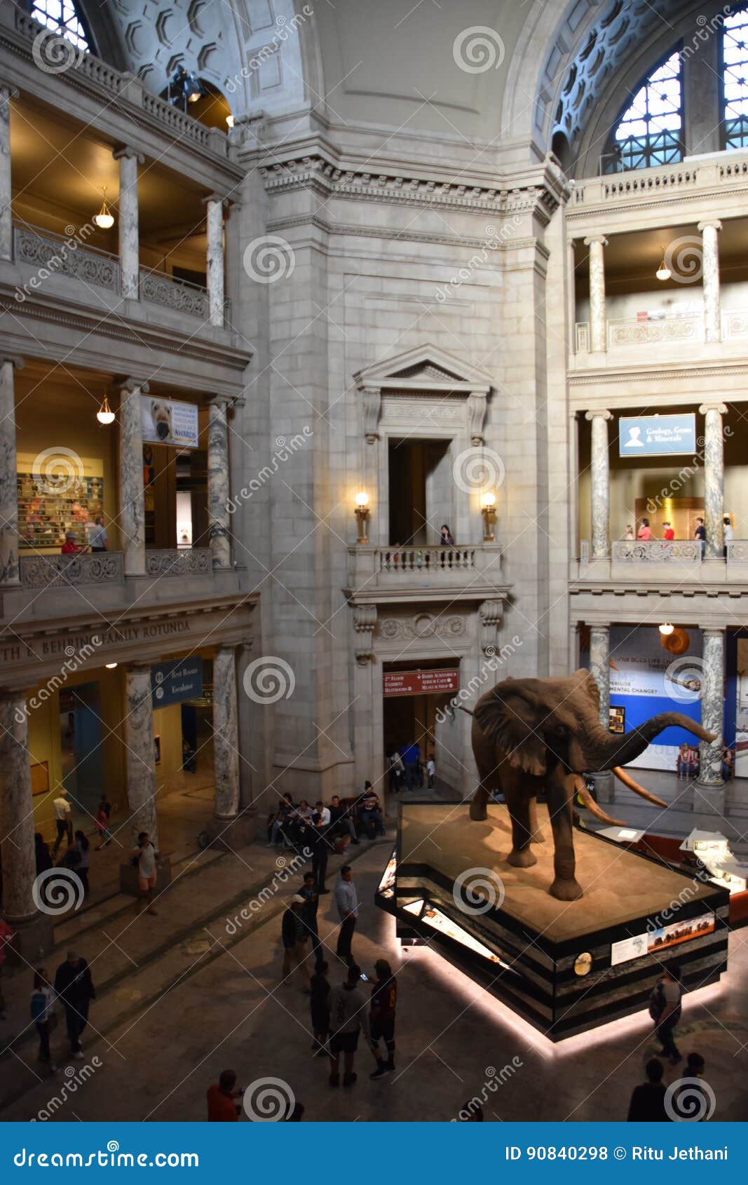 National Museum of Natural History in Washington, DC Editorial Stock