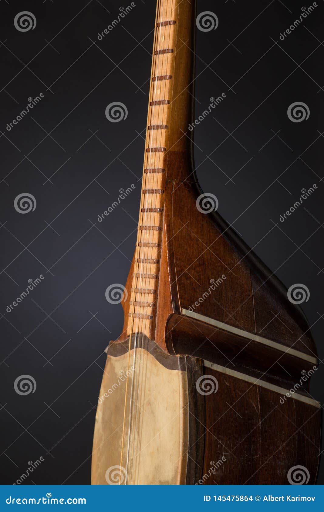 national musical instrument of asia