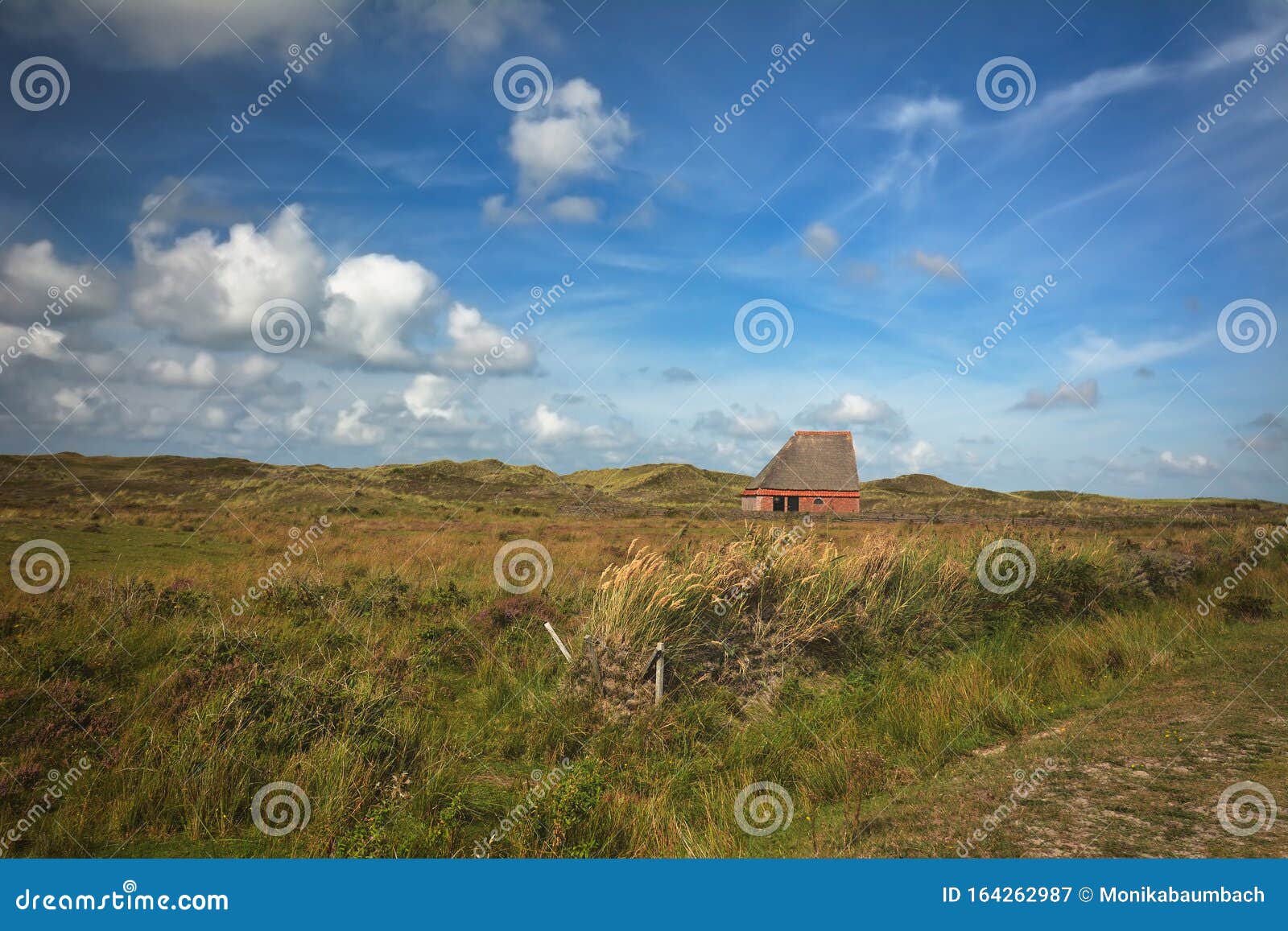 national park `de muy` with sheep shelter bungalow building on island texel in netherlands