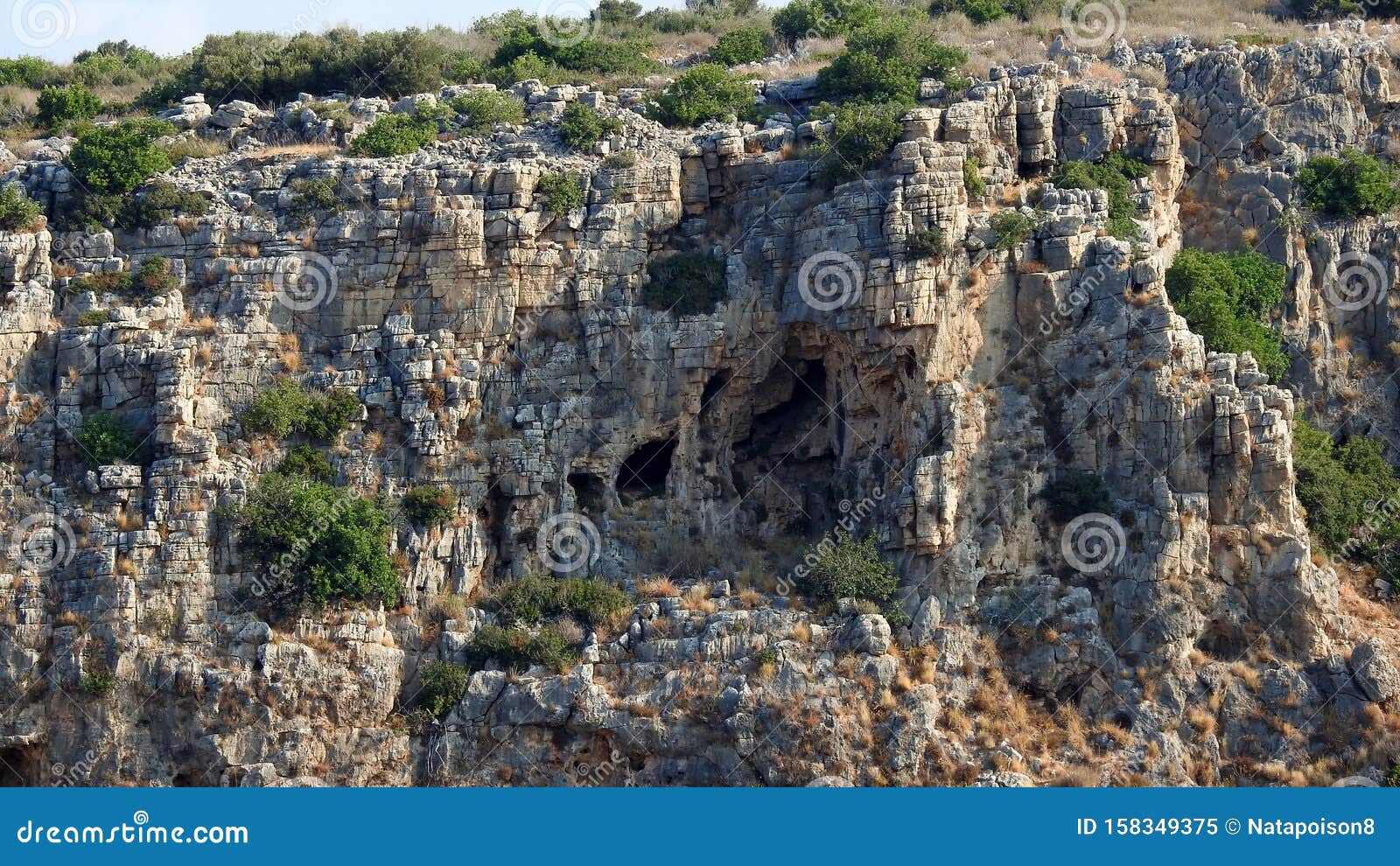 national park and mount carmel nature reserve. israel.