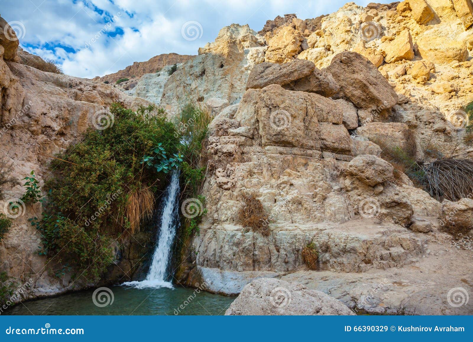 the national park and reserves ein gedi, israel
