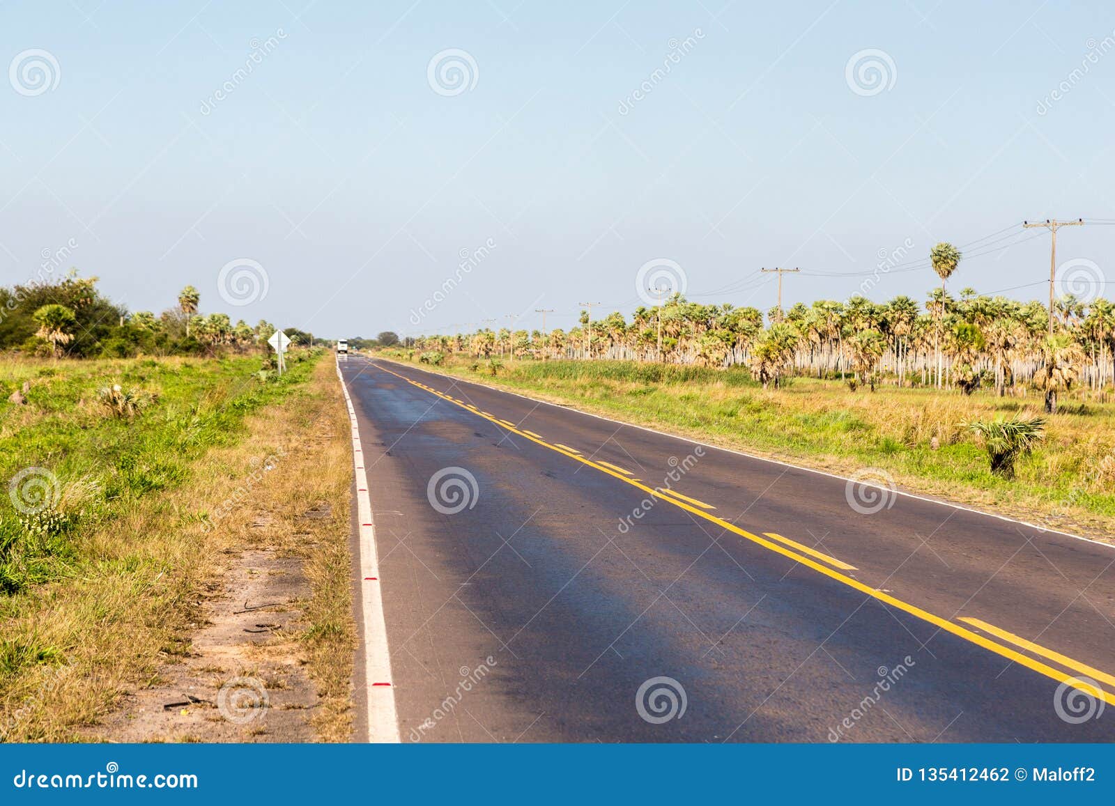national route 9 highway runs through a palm forest and grasses of paraguayan chaco savannah, paraguay. ruta nacional numero 9 dr