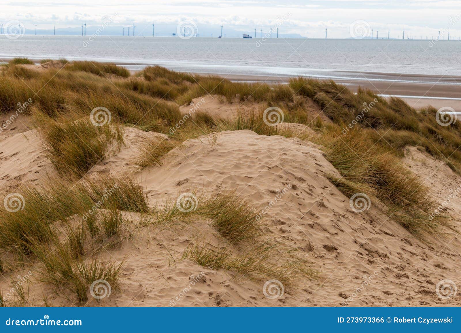 National Trust Beach, Dunes and Woods Formby, UK Stock Photo Image