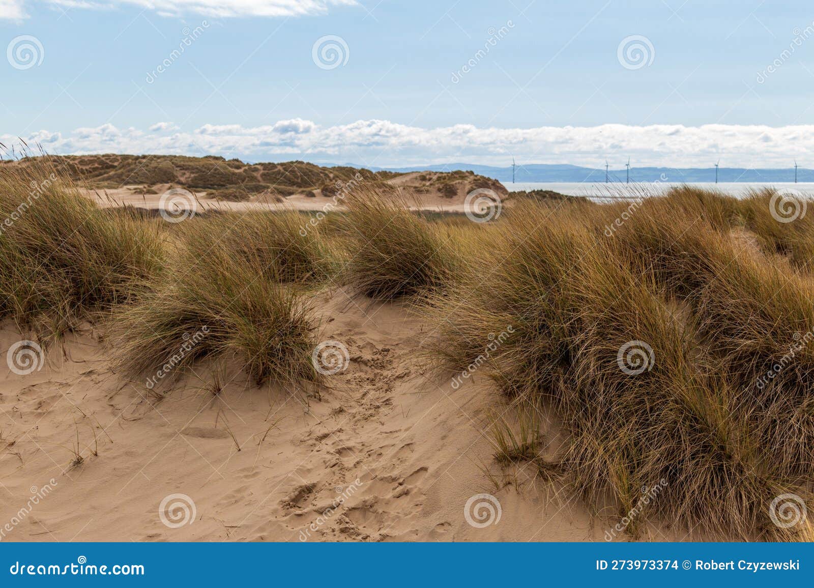 National Trust Beach, Dunes and Woods Formby, UK Stock Photo Image