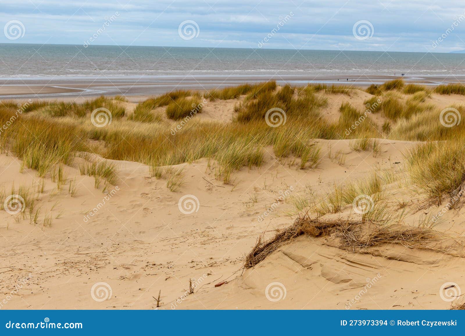 National Trust Beach, Dunes and Woods Formby, UK Stock Photo Image