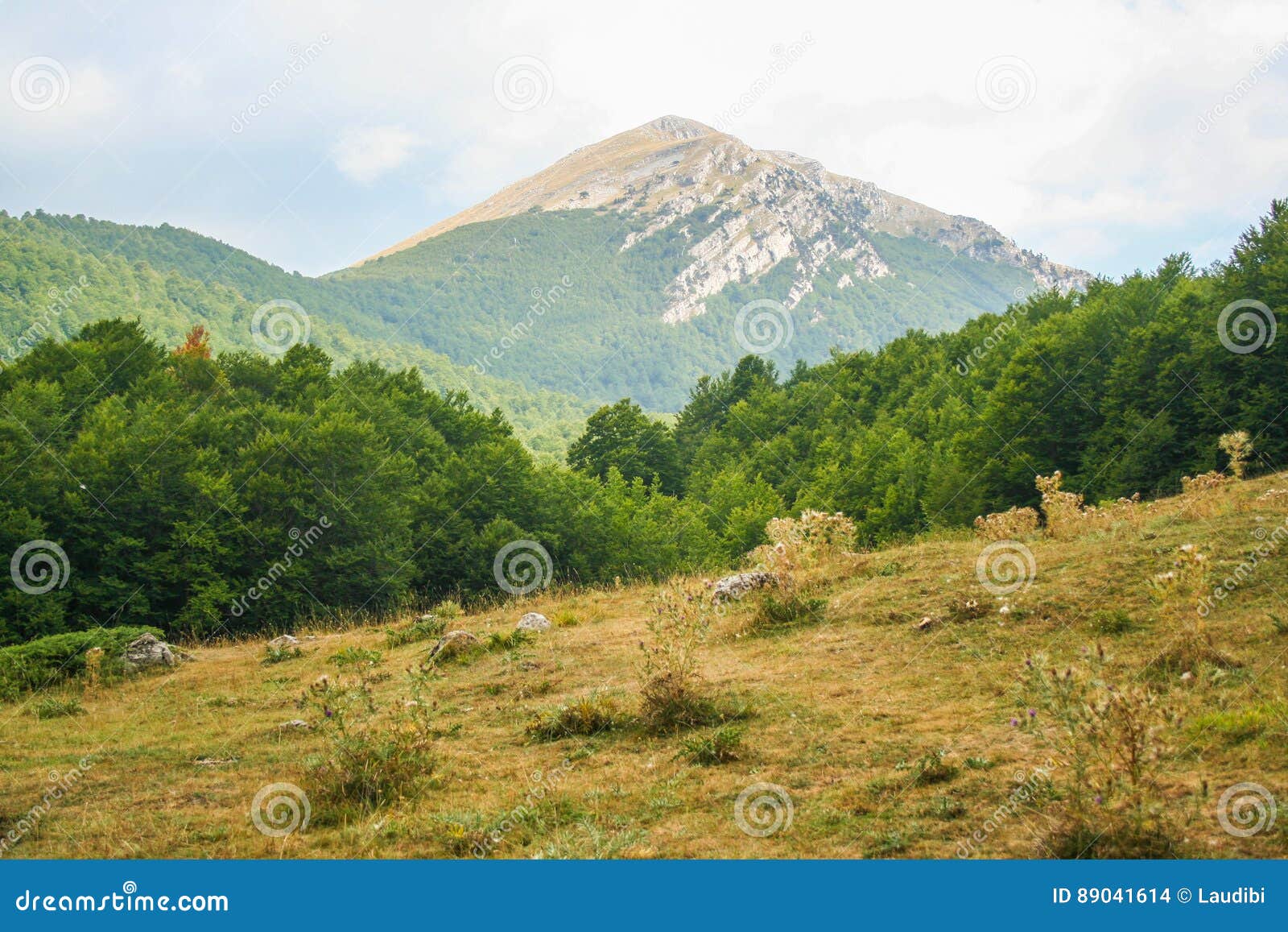 Nationalpark Pollino stockfoto. Bild von holz, bäume 89041614