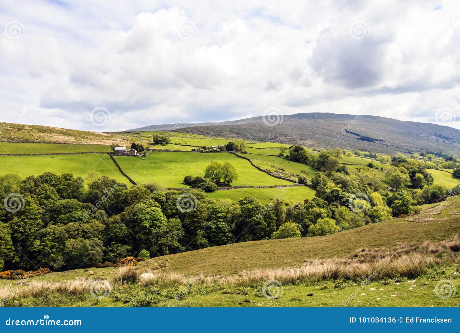 Nationalpark Yorkshire-Täler. Die Yorkshire-Täler bestehen dunklen Gipfeln, steilen Steigungen, grünen Tälern mit Stapelwänden und festen Bauernhöfen und aus Feldhallen Das Hügelaussehung wie majestätische Spitzen