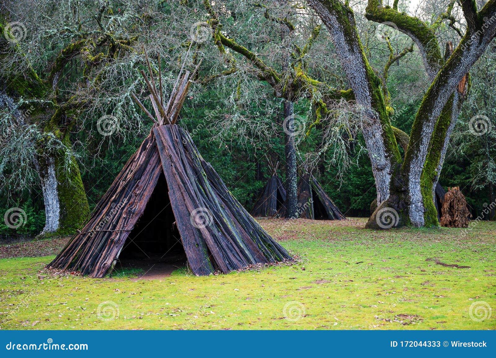 native american traditional me-wuk ceremony lodging during daytime