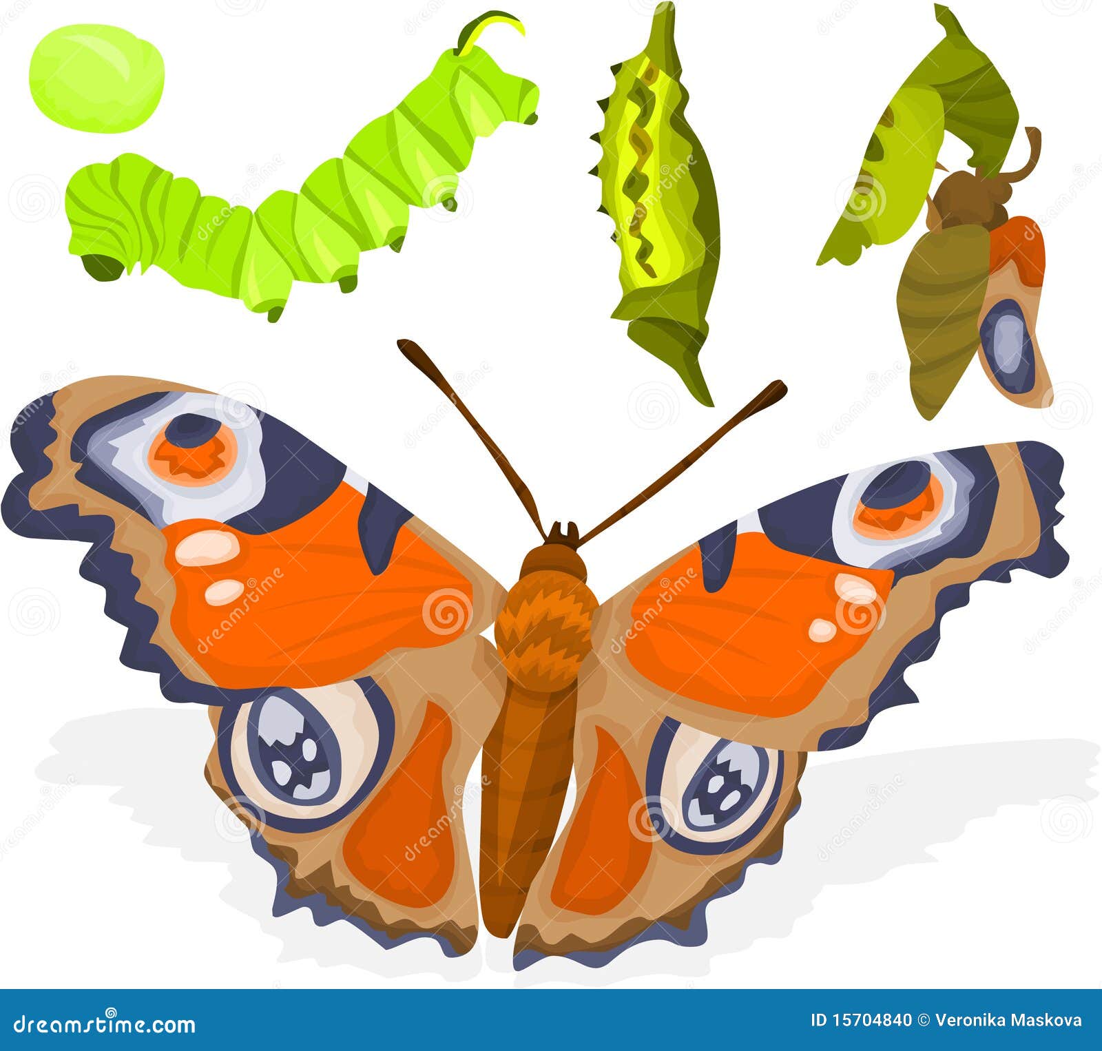 Nativity 02 stock vector. Illustration of monarch, animal - 15704840