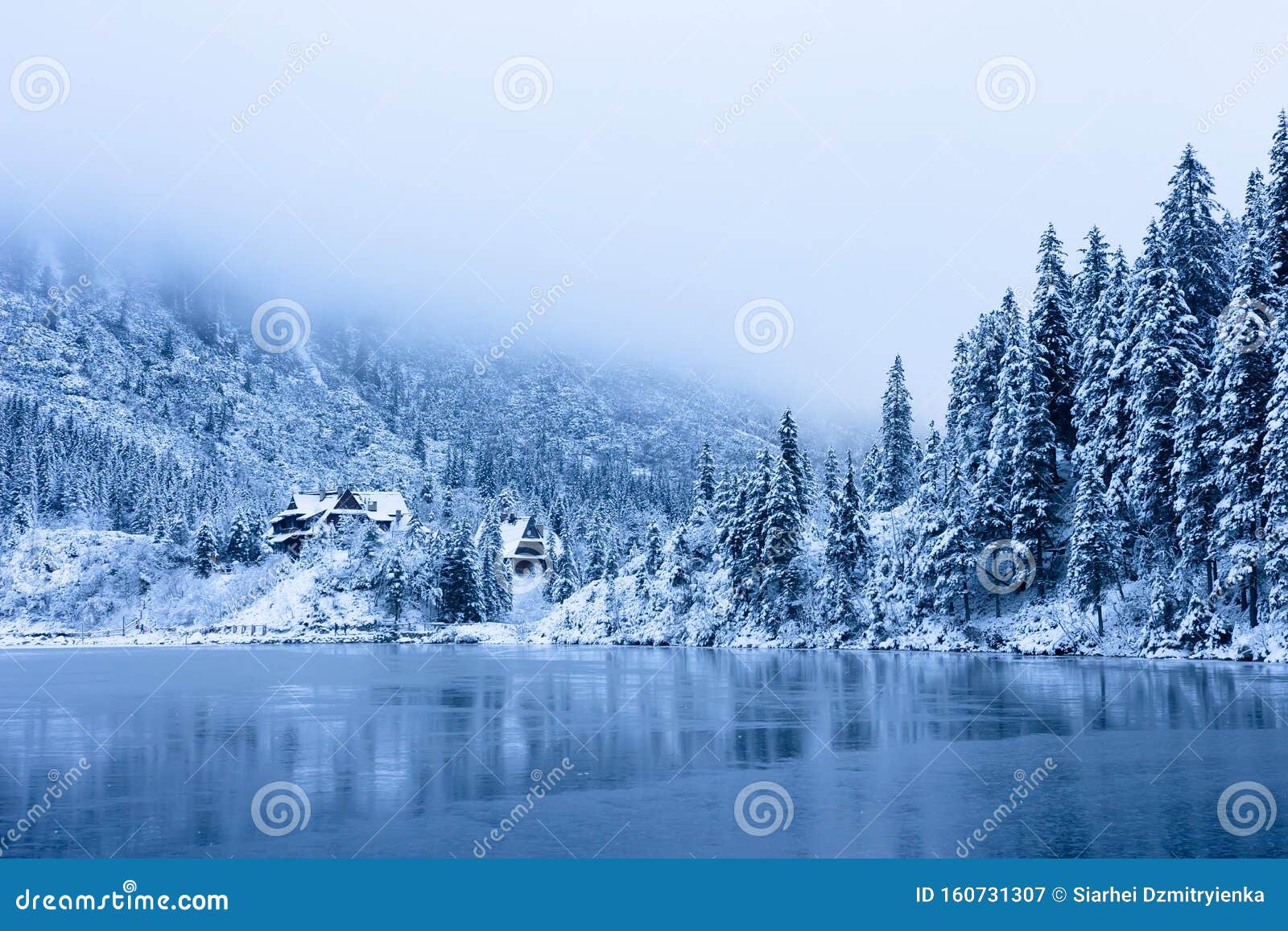 Natura Invernale Alberi Di Neve Sulla Riva Ghiacciata Del Lago In Montagna Scenografia Invernale Bel Lago Di Montagna Di Ghiaccio Immagine Stock Immagine Di Lago Nave