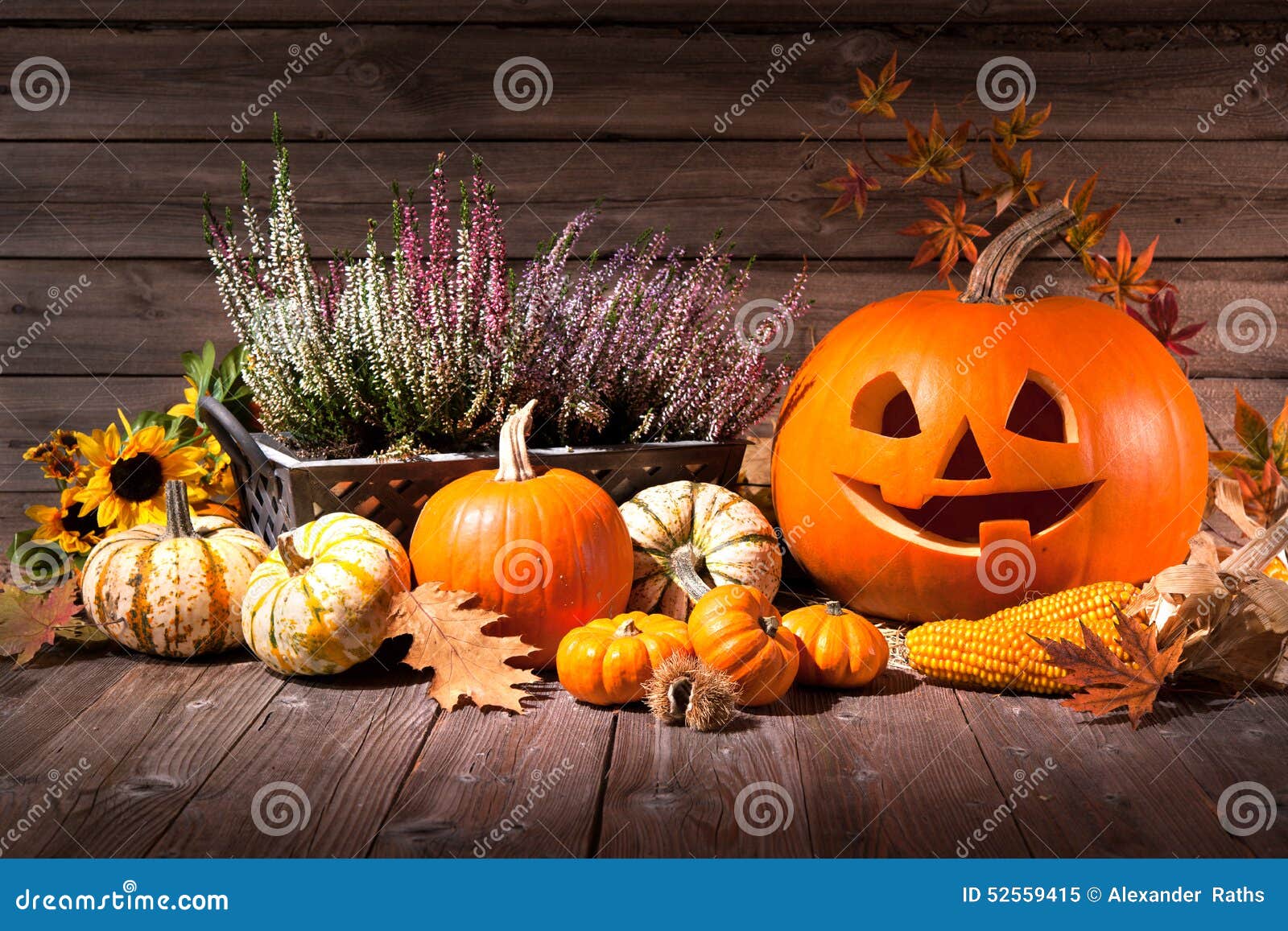 clipart zucche halloween - photo #20