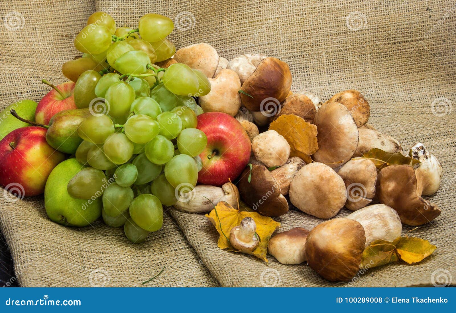 Natura Morta Di Autunno Dell Uva Delle Mele E Dei Funghi Fotografia Stock Immagine Di Yellow Organico