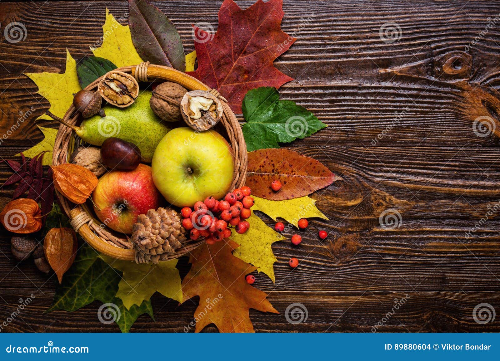 Natura Morta Di Autunno Raccolta Della Frutta Di Autunno Regali Dell Autunno C Fotografia Stock Immagine Di Naughty Caduta 0604