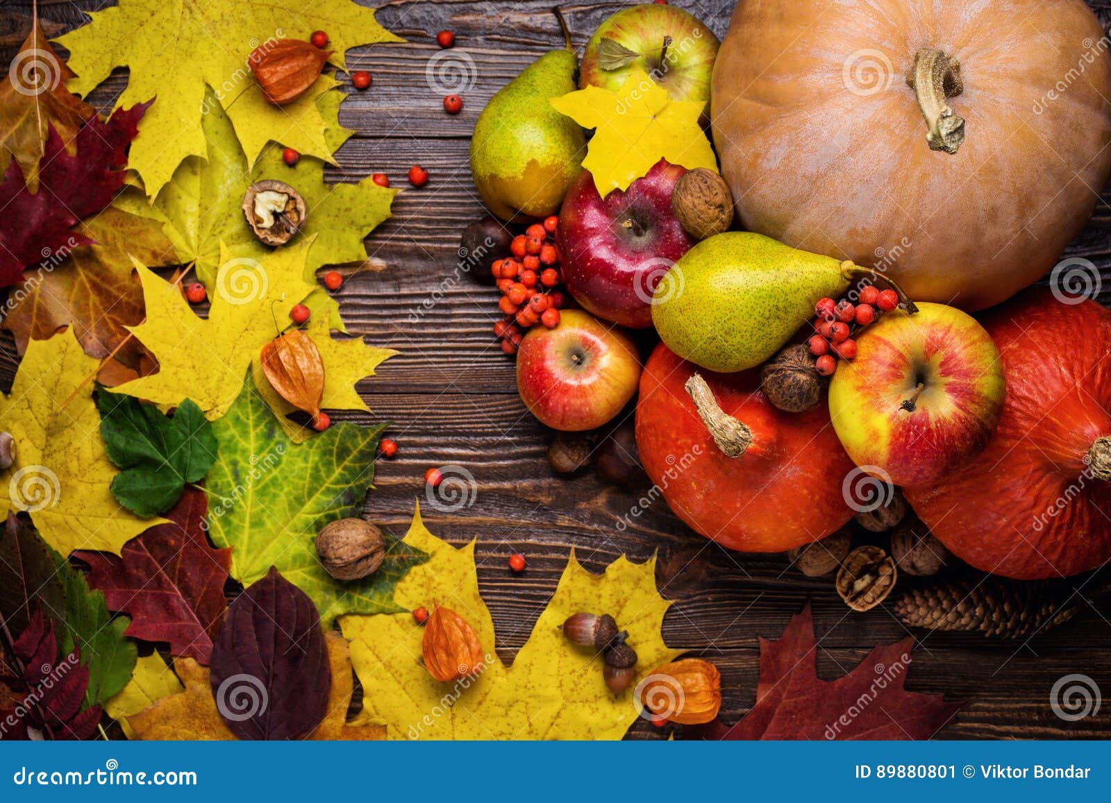 Natura Morta Di Autunno Zucche Raccolte Con Le Foglie Di Caduta E Autum Immagine Stock Immagine Di Colore Vita 0801