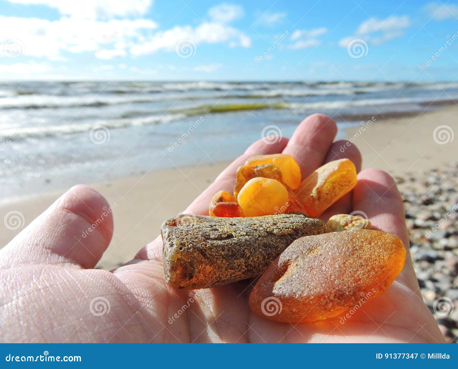 natural amber on baltic sea coast, lithuania