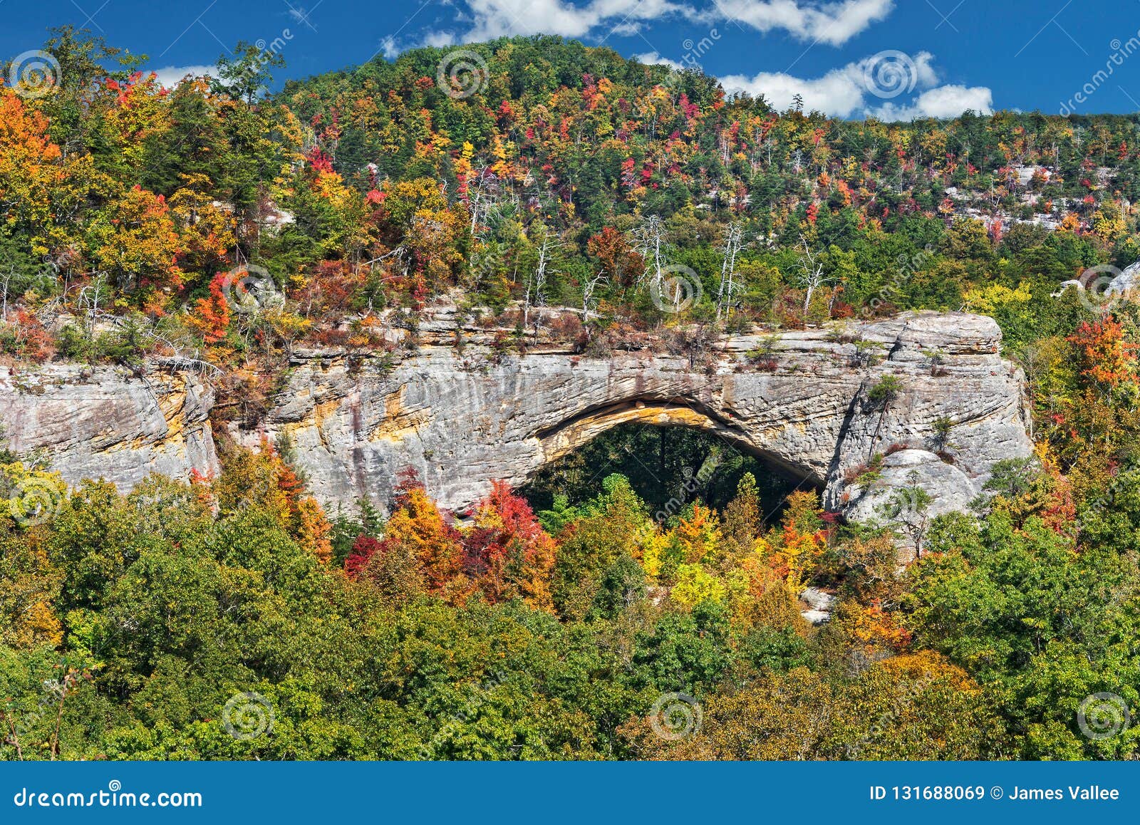 natural arch scenic area at parkers lake kentucky in the daniel boone national forest