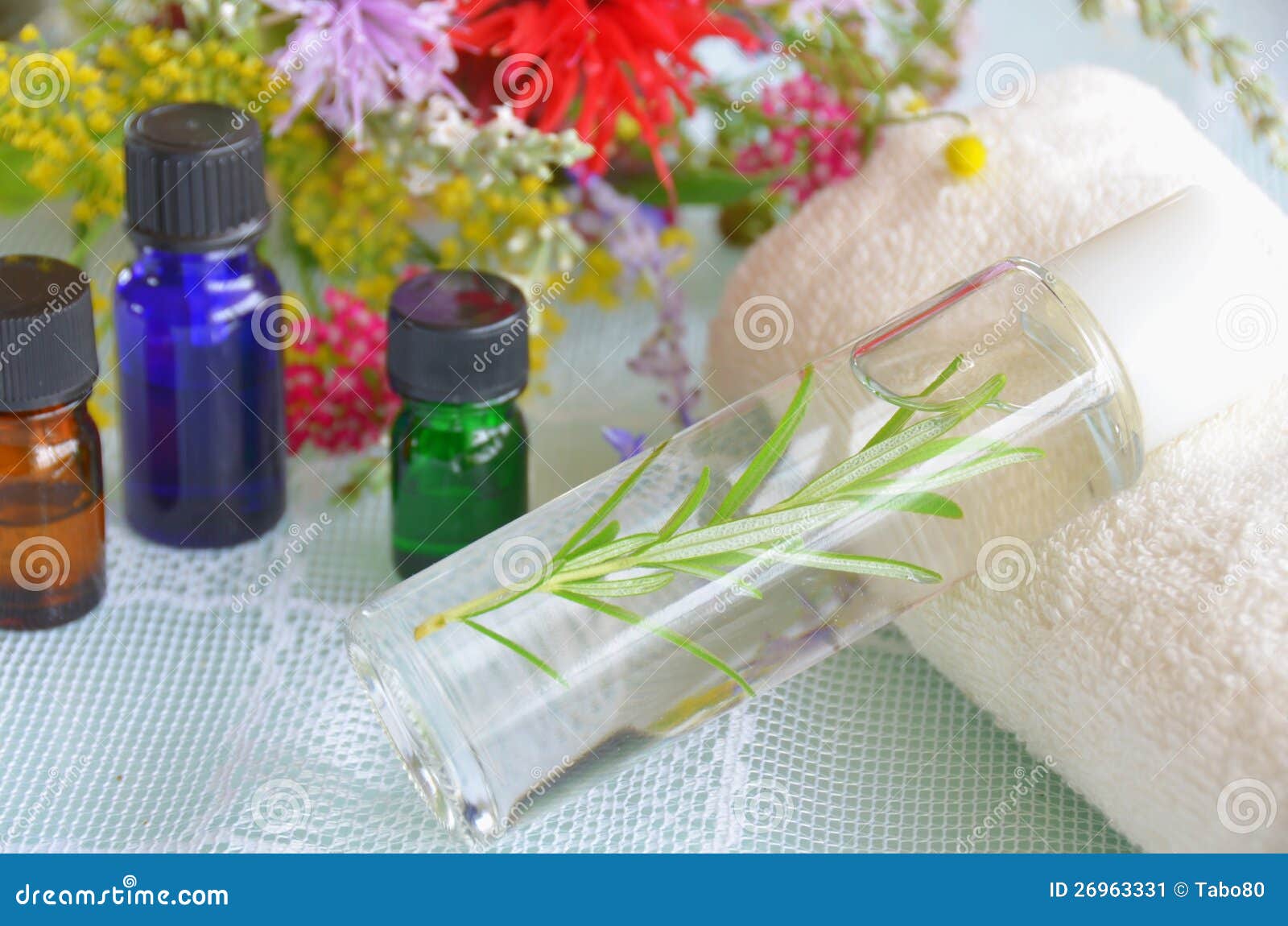 Natural Aromatherapy with Herbs Stock Image Image of fennel, natural 26963331