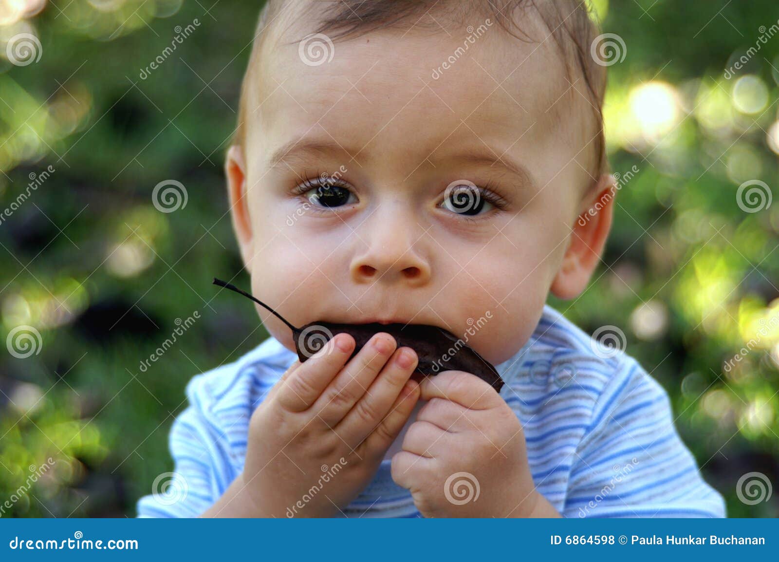 Natural baby stock photo. Image of children, happy, grass 6864598