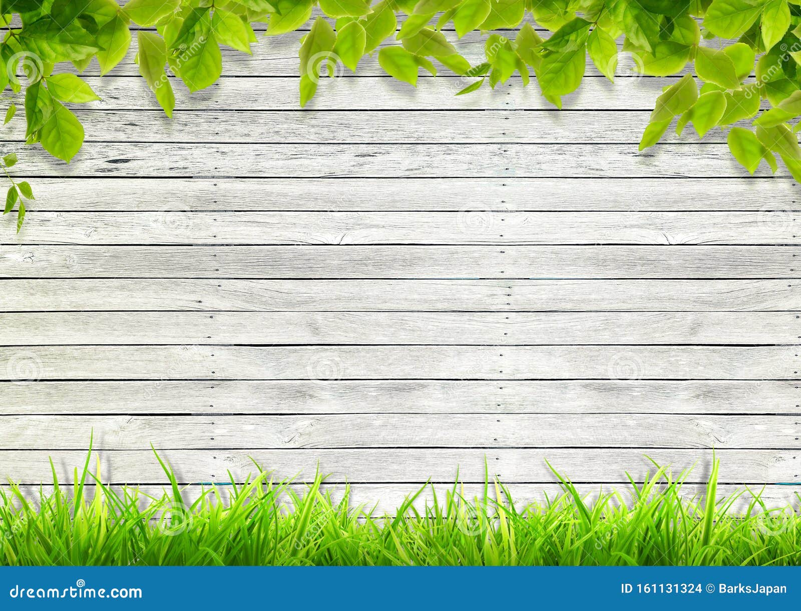 White Wooden Wall and Green Plants Collage Stock Photo - Image of plant,  construction: 161131324