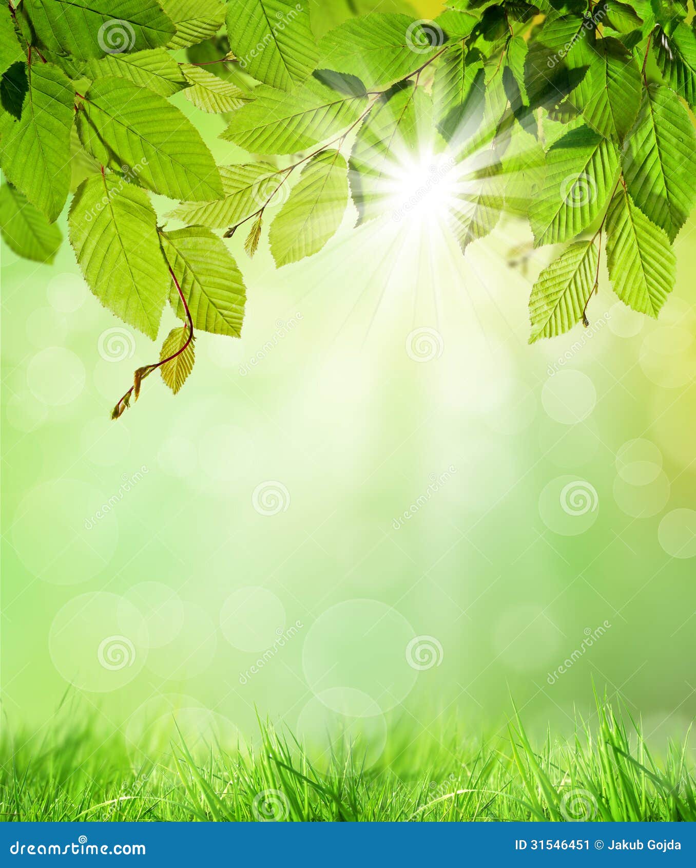 Natural Background Stock Image - Image: 31546451