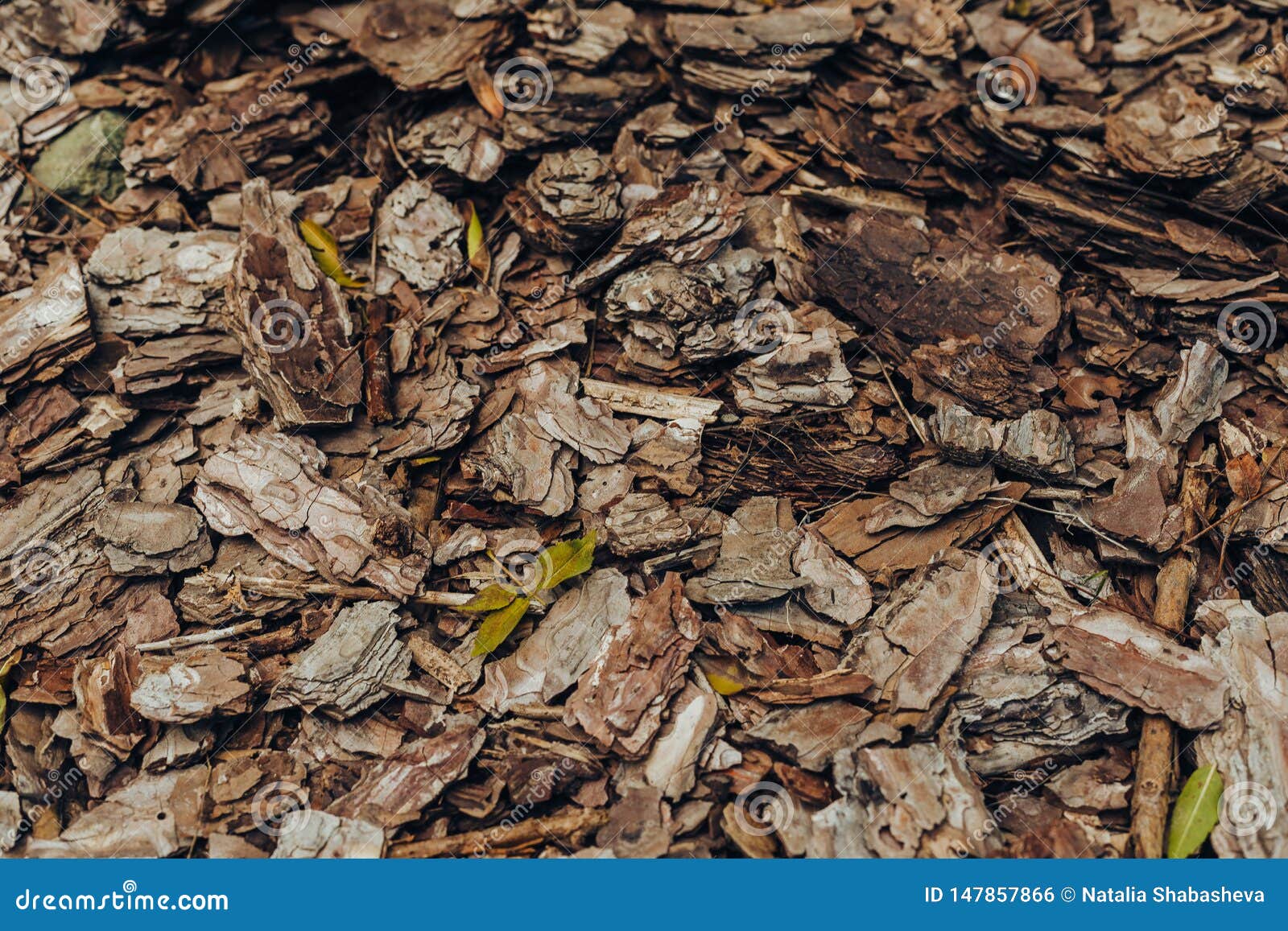 Natural Background Of Red And Brown Pieces Of Tree Bark Wood Chip