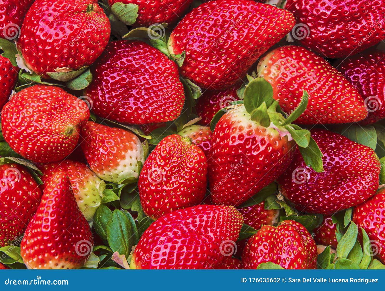 natural background of red strawberries on the table ready to eat